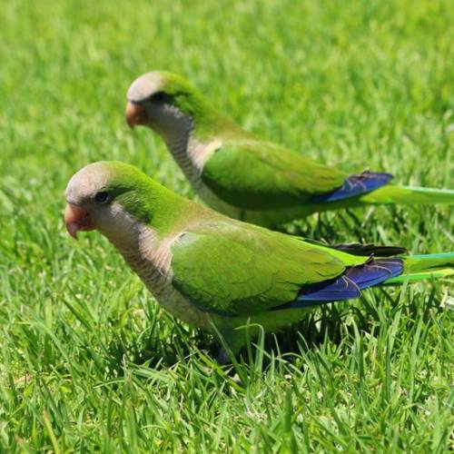 Discover the contrasts on Fuerteventura