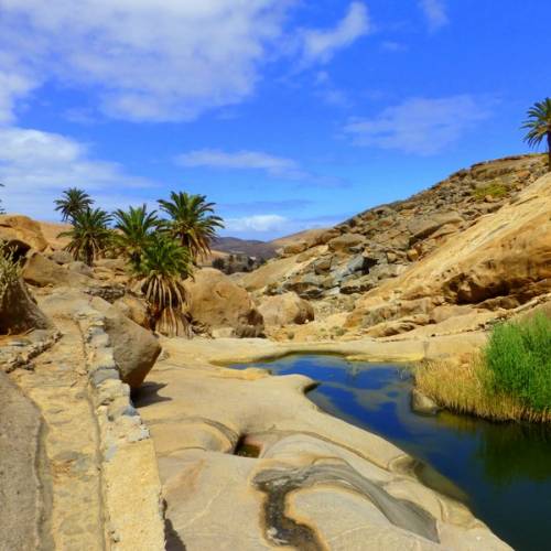 Small oasis on Fuerteventura