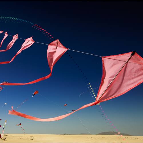 Fuerte-authentic-tours, beaches